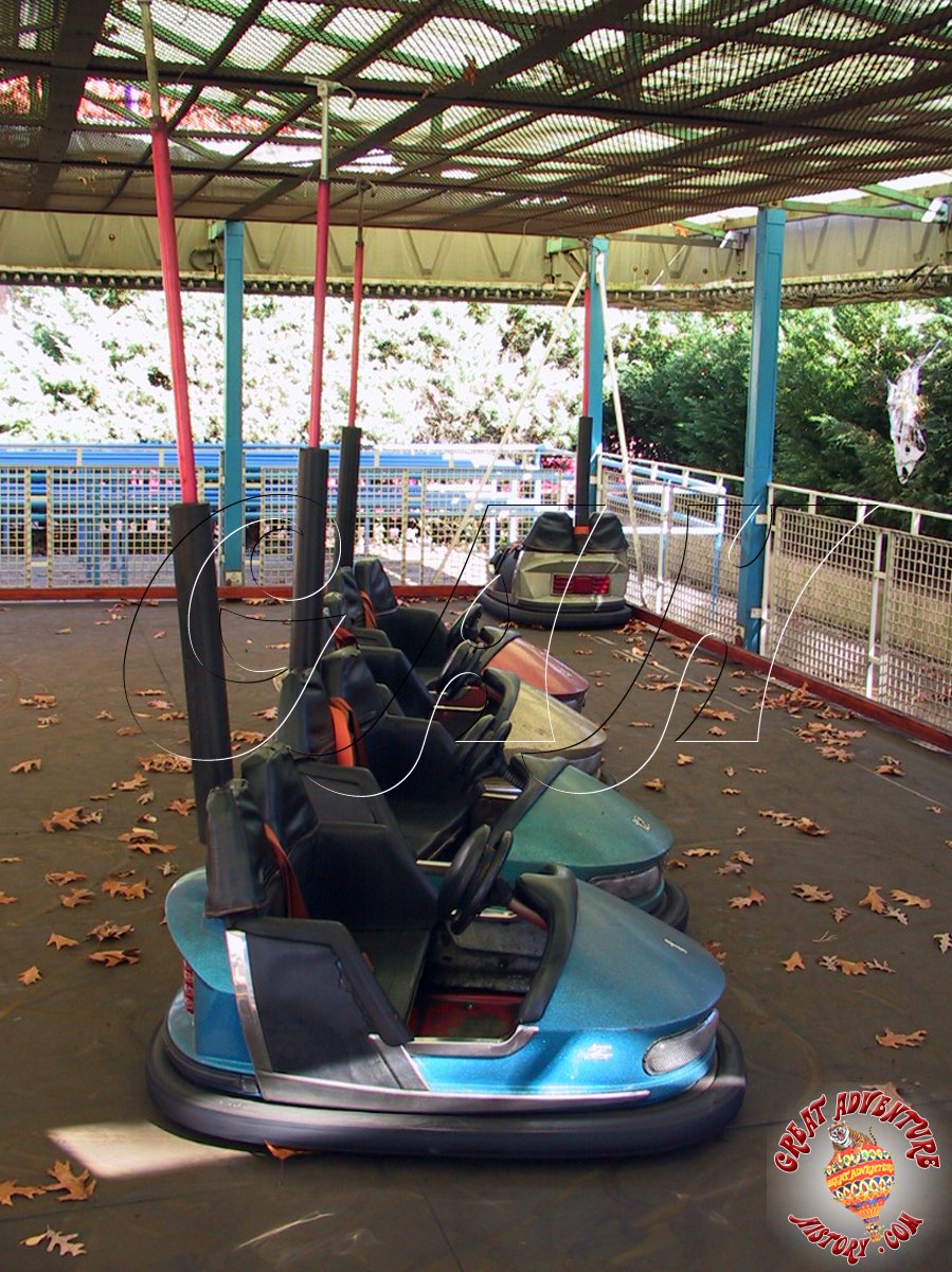 six flags bumper cars